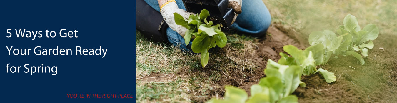  5 ways to get your garden ready for spring