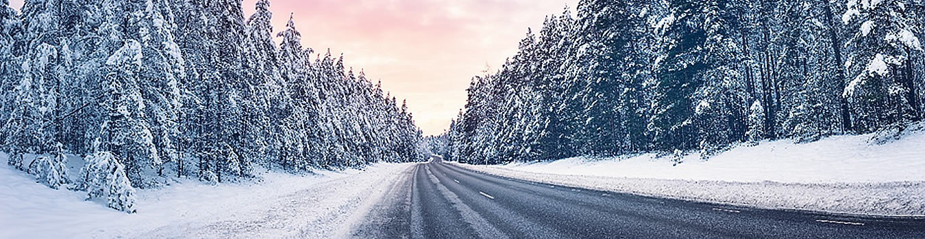  An image of a road covered in snow and ice with tall trees on either side.