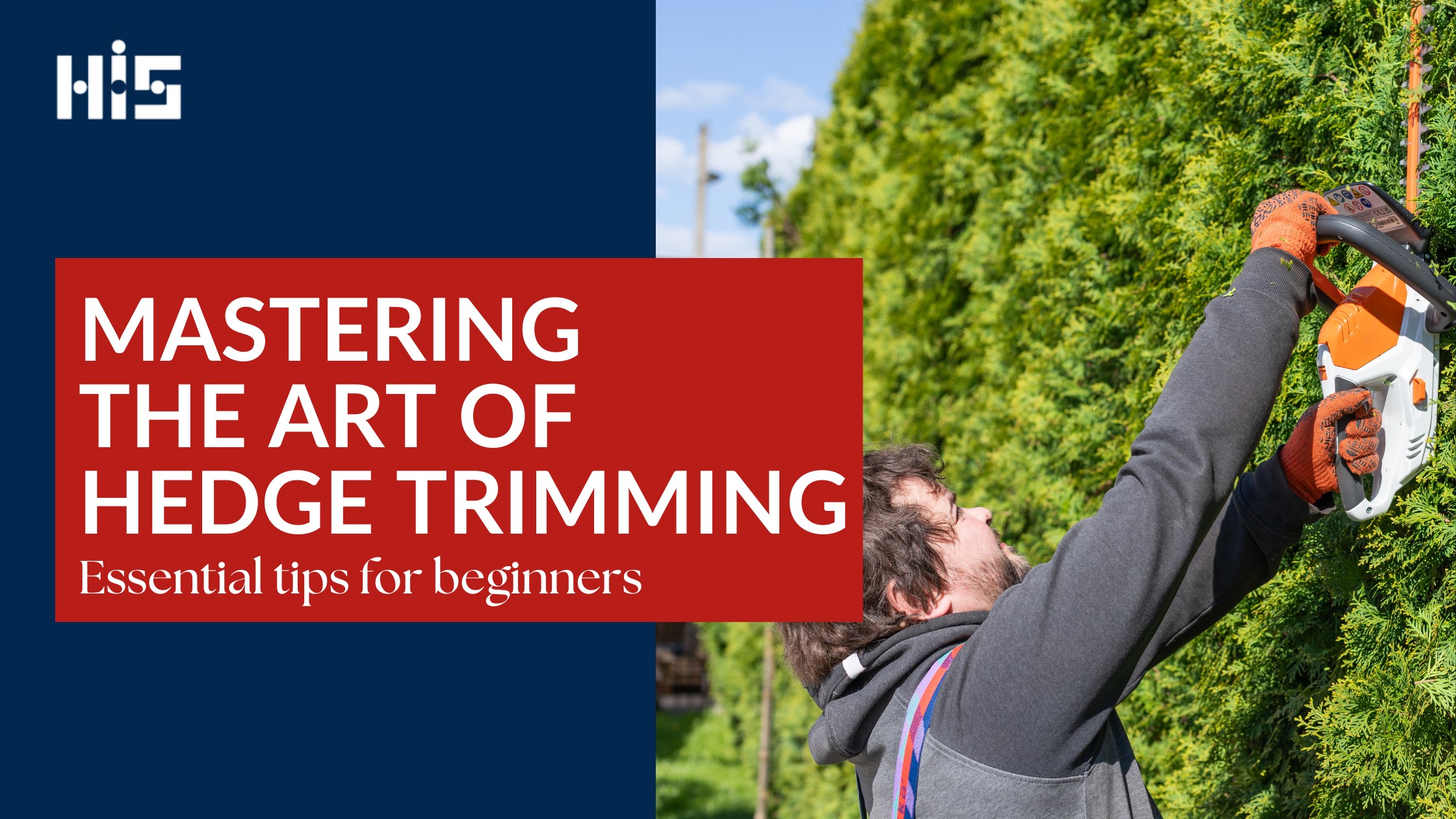 Image of a man with a hedge trimmer working on cutting a hedge, with the title text “Mastering the art of hedge trimming: essential tips for beginners”