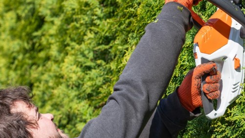 Image of a man with a hedge trimmer working on cutting a hedge, with the title text “Mastering the art of hedge trimming: essential tips for beginners